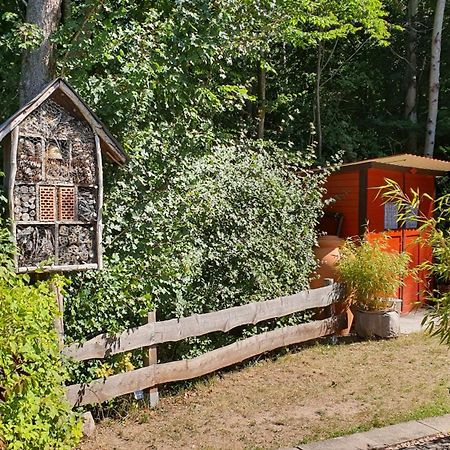 Ferienhaus Am Wald Ronshausen エクステリア 写真