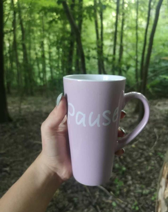 Ferienhaus Am Wald Ronshausen エクステリア 写真