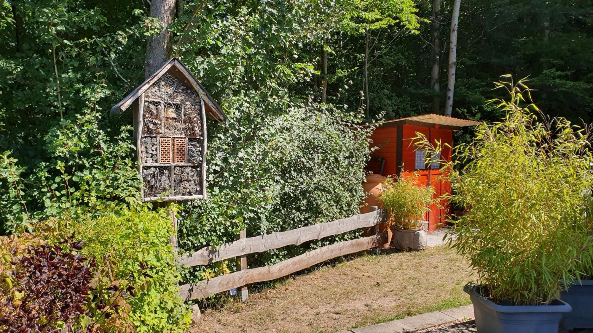 Ferienhaus Am Wald Ronshausen エクステリア 写真