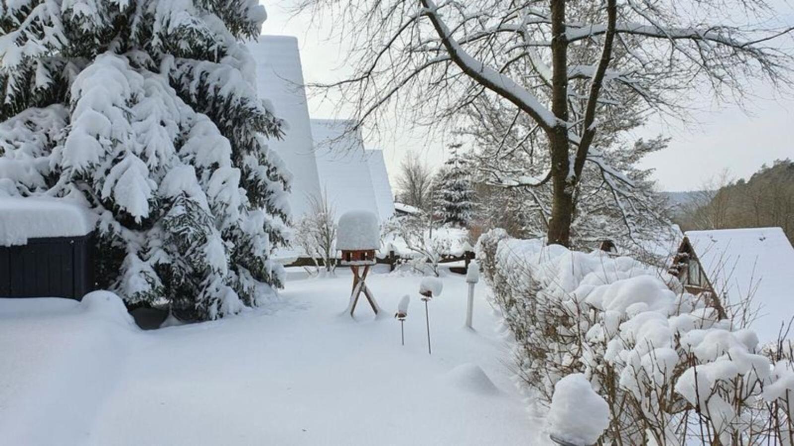 Ferienhaus Am Wald Ronshausen エクステリア 写真